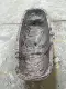 ภาพย่อ