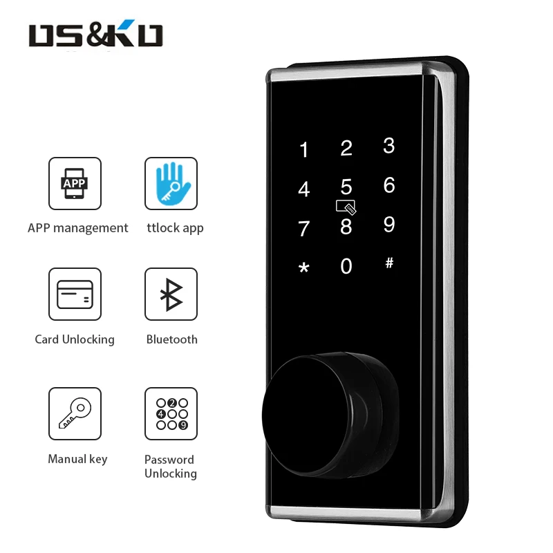 Large Panel Smart Door Lock for Disabled Face Recognition Module Alarm Existing Key for Wood Doors Cloud Data Storage Options