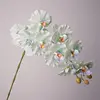 Menta