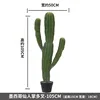 Cactus mexicano con múltiples ramas - 105CM (viene con base negra)