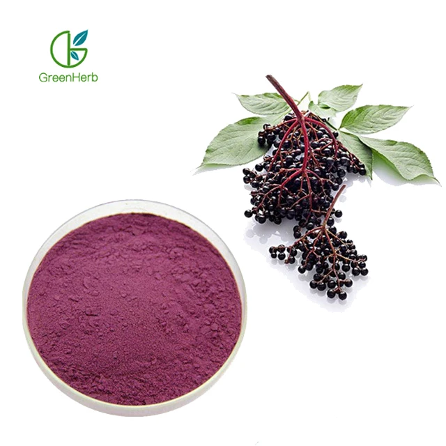 free sample organic elderberry extract powder black elderberry