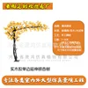 Árbol de ginkgo de madera maciza con extensión lateral (enlace de depósito)