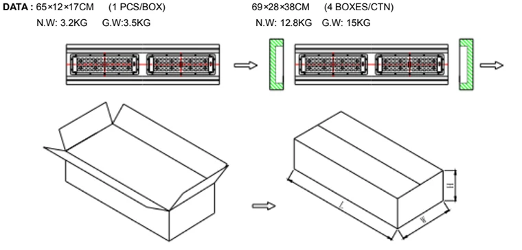 100w-6.jpg