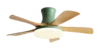 Grano de Madera Verde