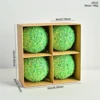 XM0111S - Iridescent Fruit Green