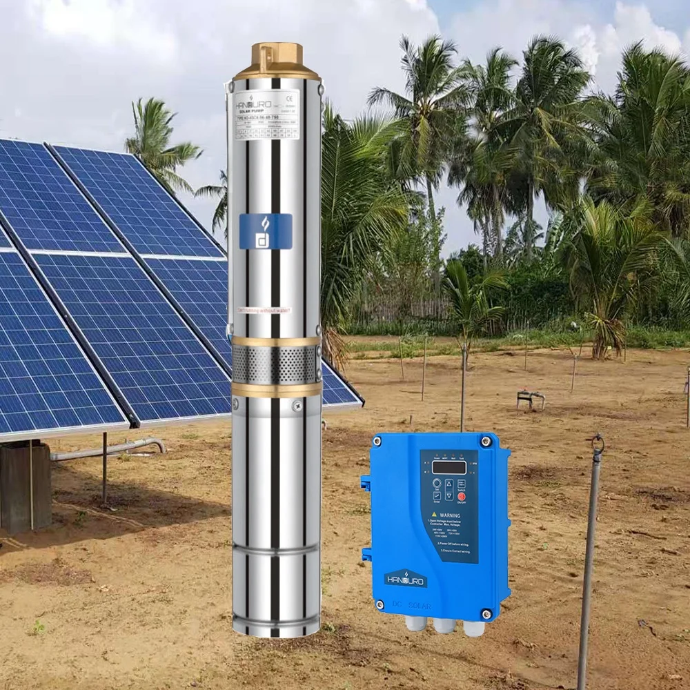 Water Pumping Machine Agriculture Pompe Solaire 110Volt DC Solar Pump Set Agriculture System Water DC Solar Pump
