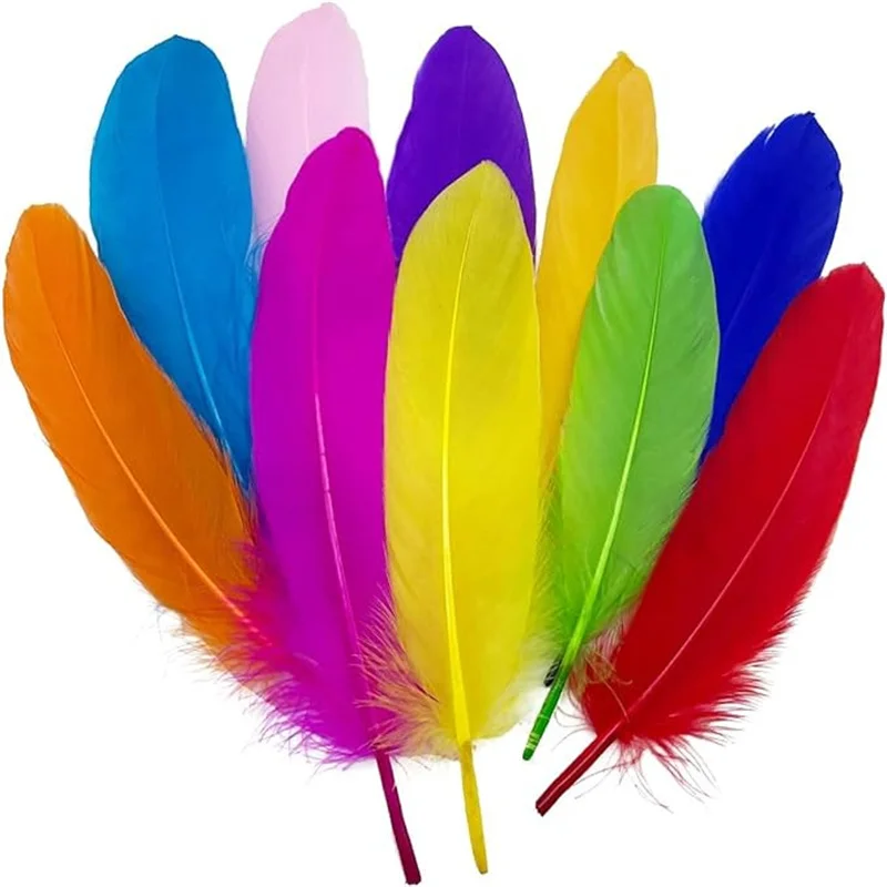 Rose Red Goose Feathers 6-8 Inch bulk Assorted Colorful Feathers