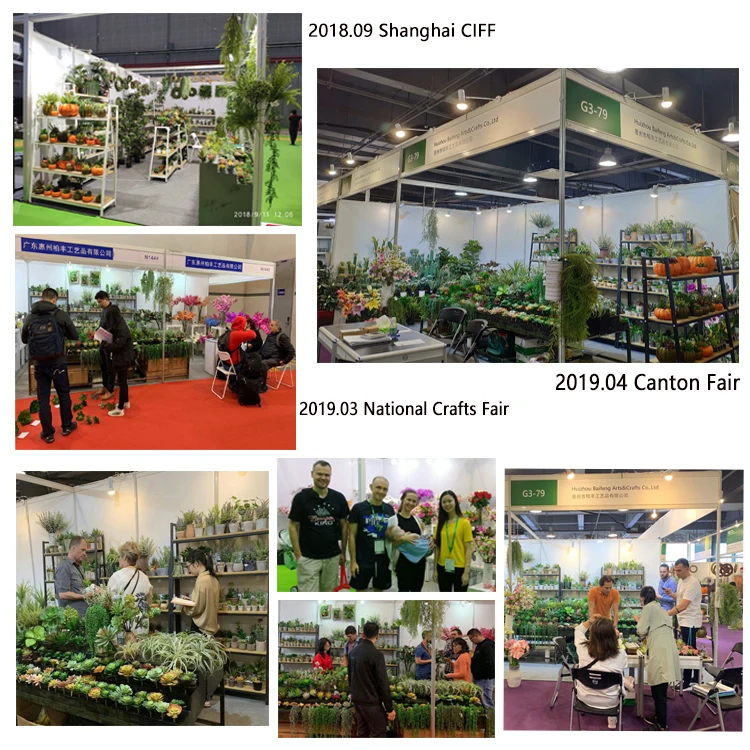 Huizhou Baifeng Crafts Co., Ltd. 2