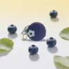 Blueberry