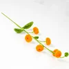 #10 Yellow persimmon bundle