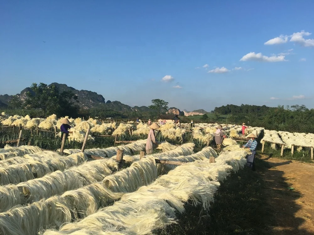 UG Sisal Fiber Used for Sisal Products or Gypsum Board