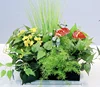 green Style g