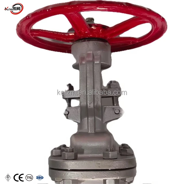 Ansi Jis Flange Gate Valve 10k Gate Valve Material Cf8 Cf8m Wcb High ...