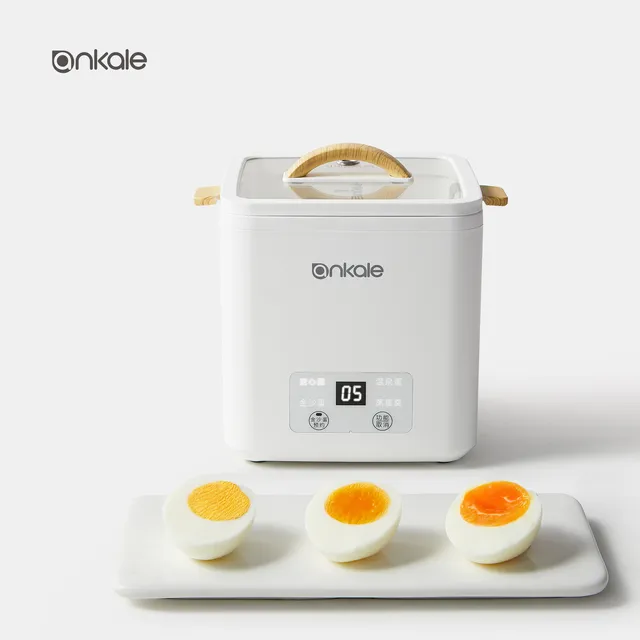 Ankale Unique Design small appliance multi-purpose electric eggs cooker mini stew cooker