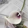 Corazón púrpura blanco