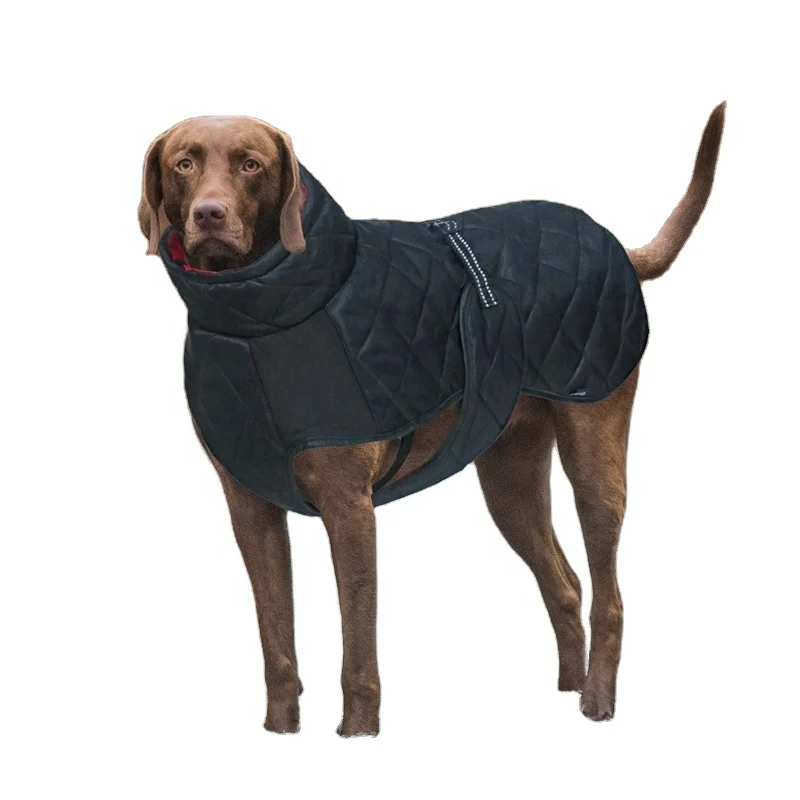 luxury dog jackets