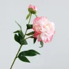 Rose Madder