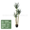 Sisal tree 160CM