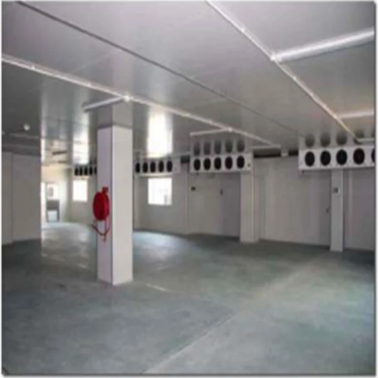 Customized square Meter Cold Room Storage air Cooler Freezing Cold Food Container for Supermarket Made in China