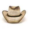 Caqui