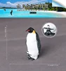 574 Pingüino emperador con cría