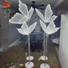 luz blanca