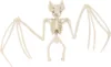 White-Bat