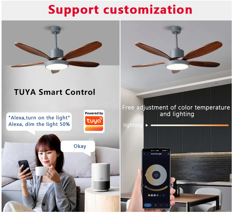 Ceiling Fan, 110-220V, DC35w - detail 20