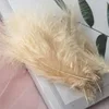 Kaki