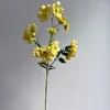 Amarillo