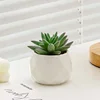 Agujas de pino verdes con flocado verde.