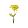 Yellow 1