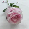 Pink 1
