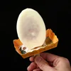 Paleta