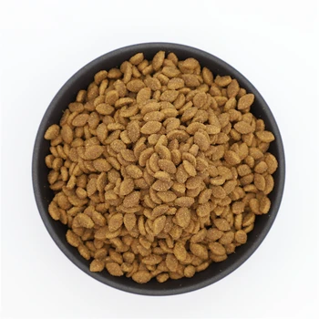 OEM Manufacturer Gluten Free Lecithin Brain Developing Pet Supply Best Dry Cat Food Kitten & Adult Cat for Cats All-season