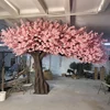 Pink1