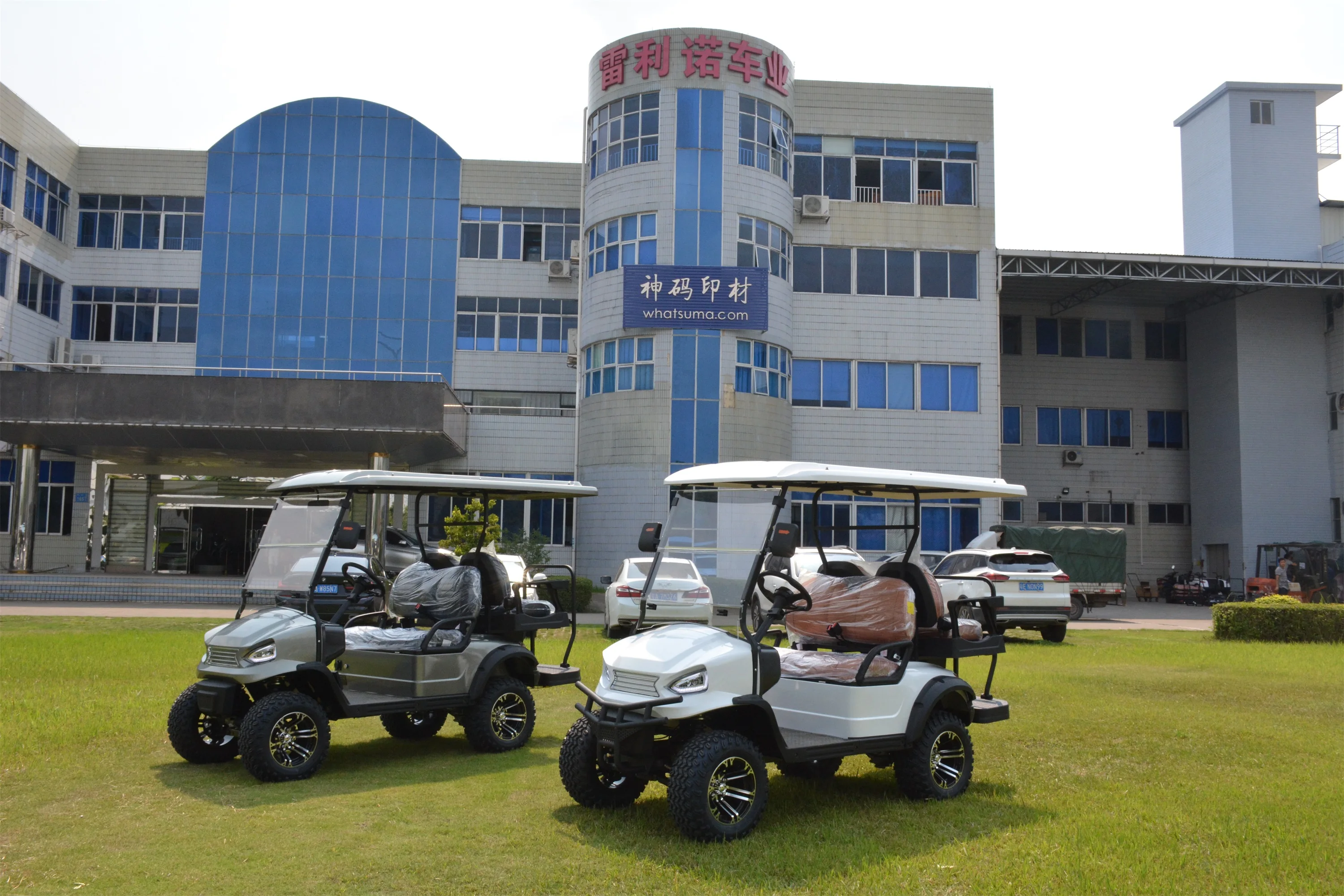 RARIRO 2+2 Electric Lifted Golf Cart Brand 2+2 seater electric smart car price