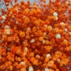 Arancione