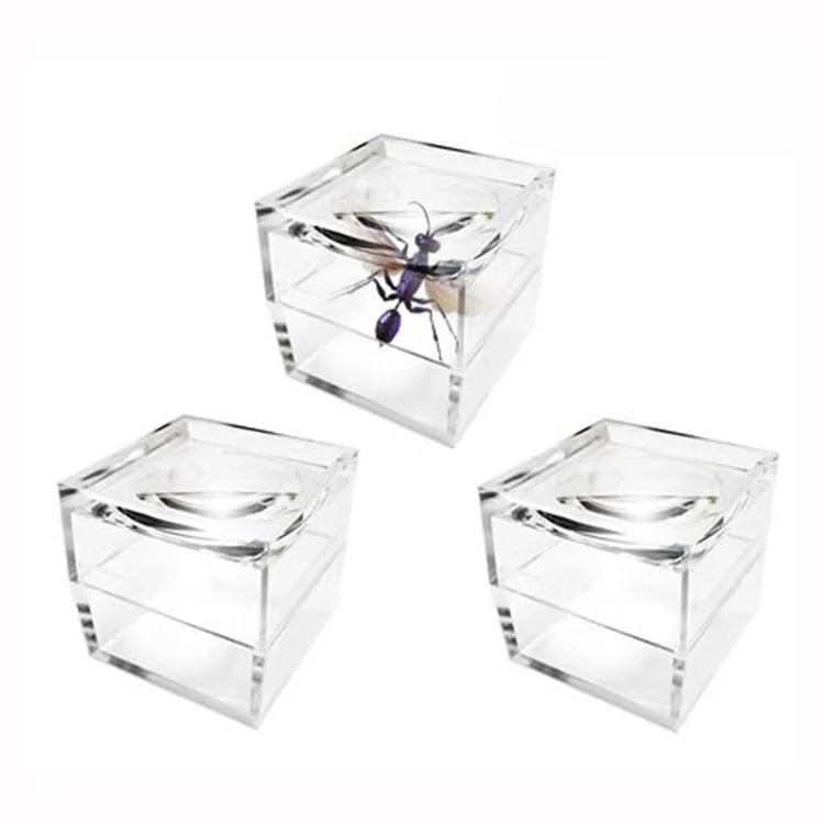 Transparent Clear Magnifying Box Acrylic Magnifier Containers square Acrylic Magnifying Glass Box