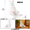 colorato PL127-3349 Gatto pigro