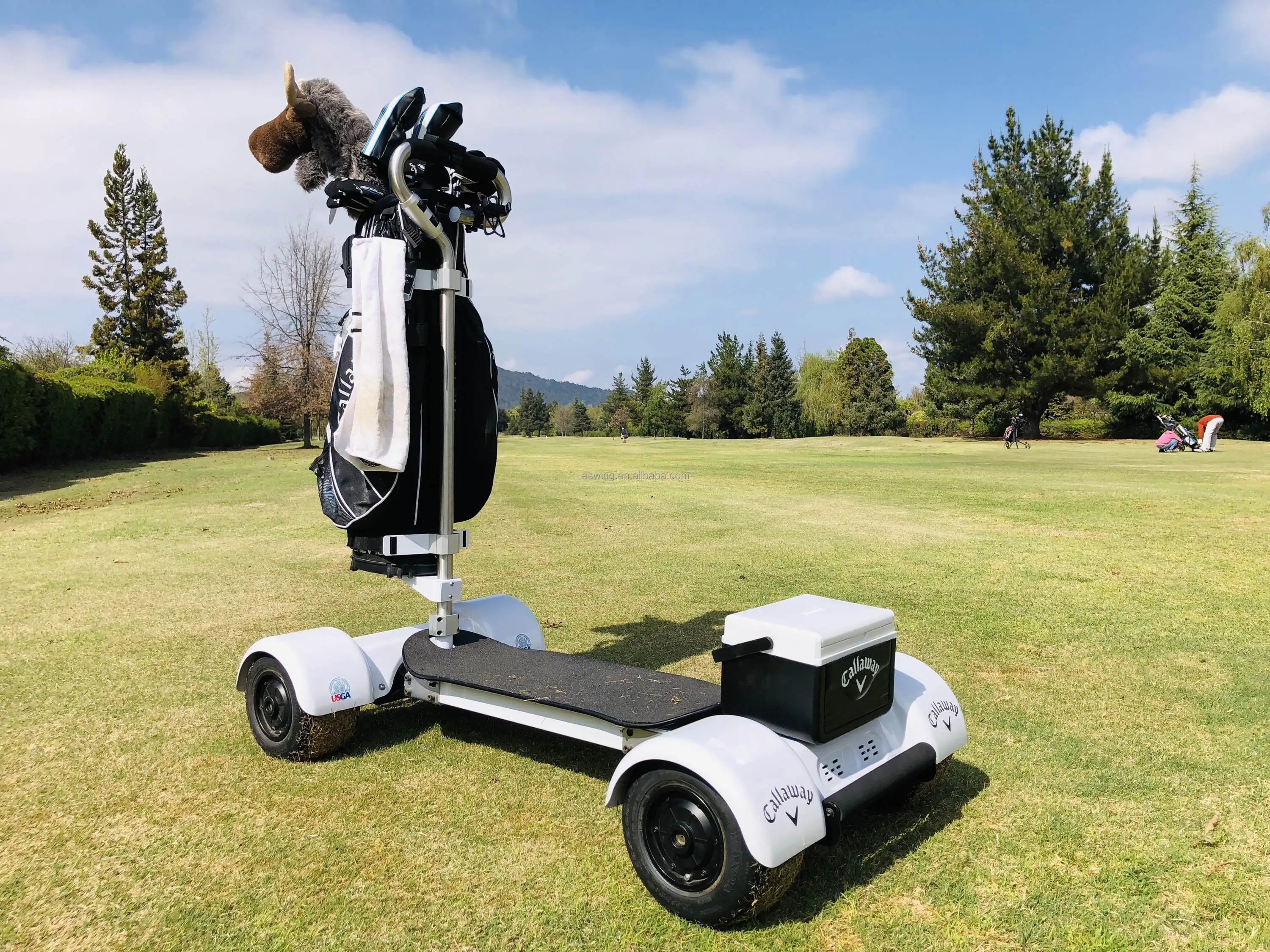 Coco coupe electric golf cart