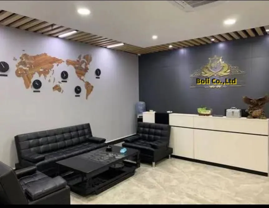 Company Overview Foshan Baoli Technology Co., Ltd.