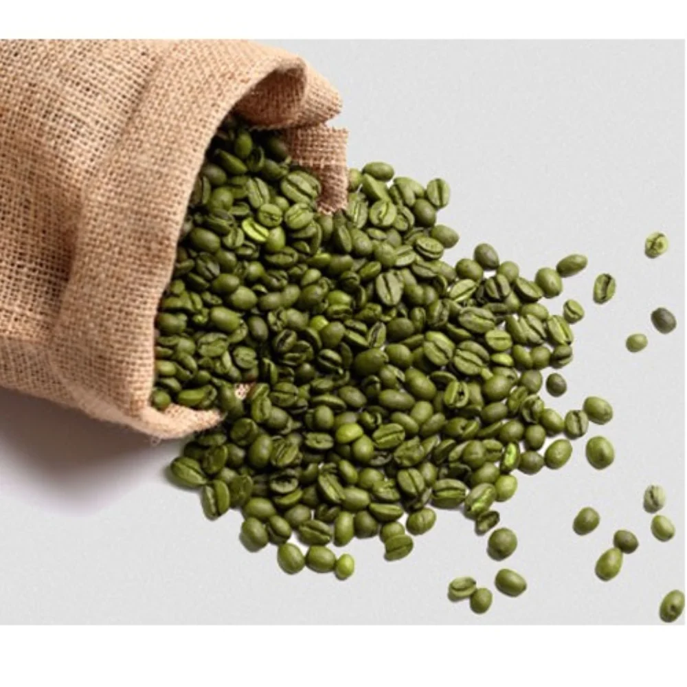 best coffee grinder for moccamaster