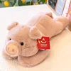 Pink Pig