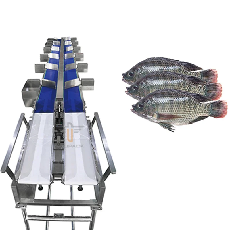 Industry Automatic Weight Sorting Machine Fish Weight Sorting Shrimp Weight Grader Seafood Fruits Vegetables Grading Machine