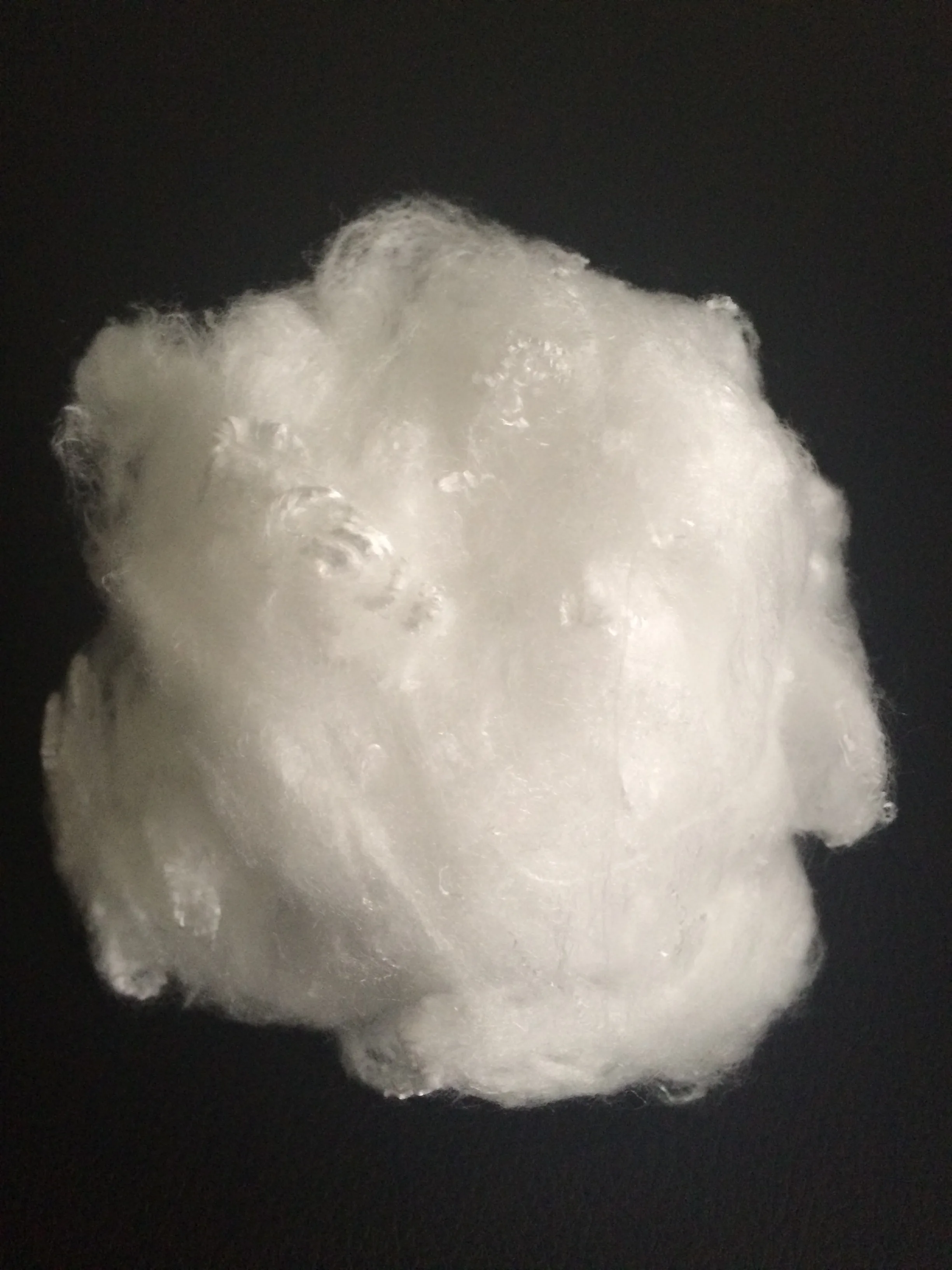 nylon fiber 2.jpg