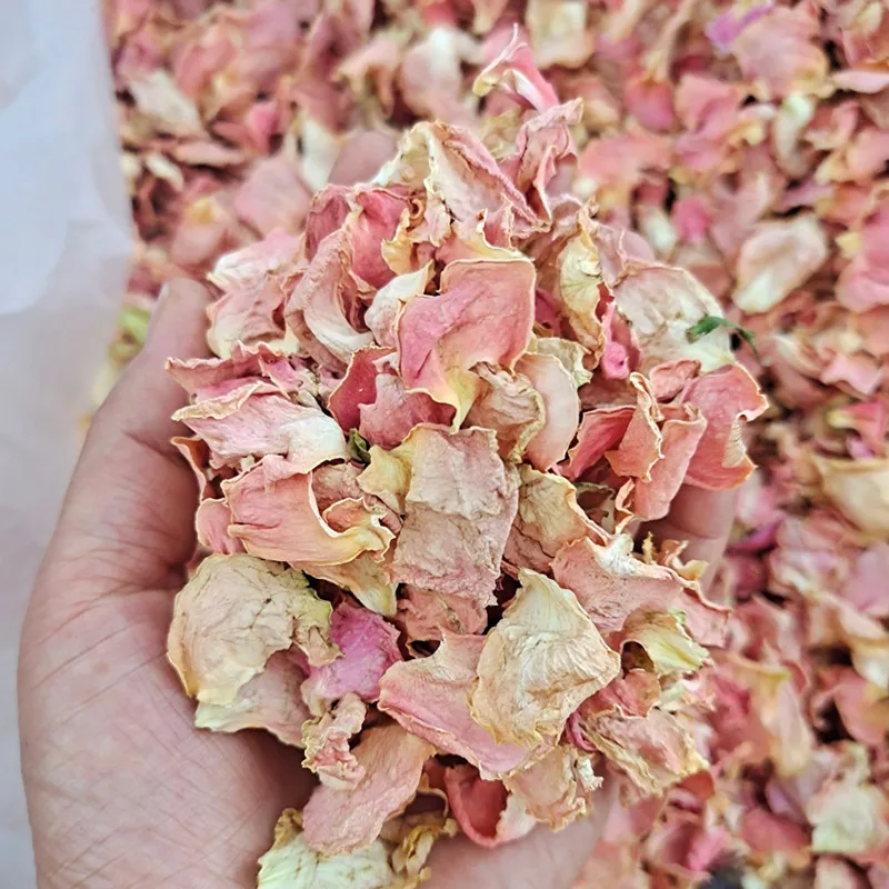white rose petals (7).jpg