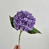 #8 purple