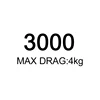 3000