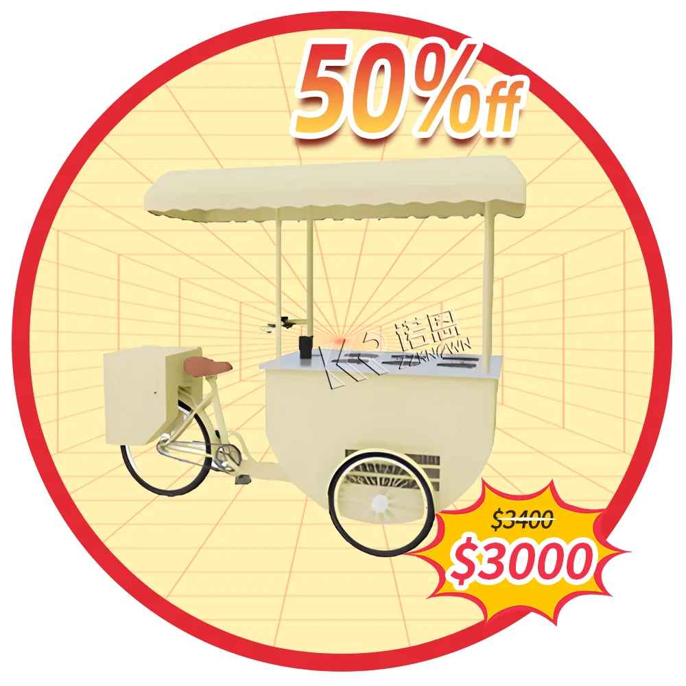 Mobile Ice Cream Vending Tricycle with Mini Refrigerator Adult 3 Wheels Cargo Bike  Freezer Bicycle for Cold Drinks